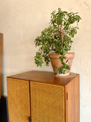 Cane Tall Mid Century Cabinet