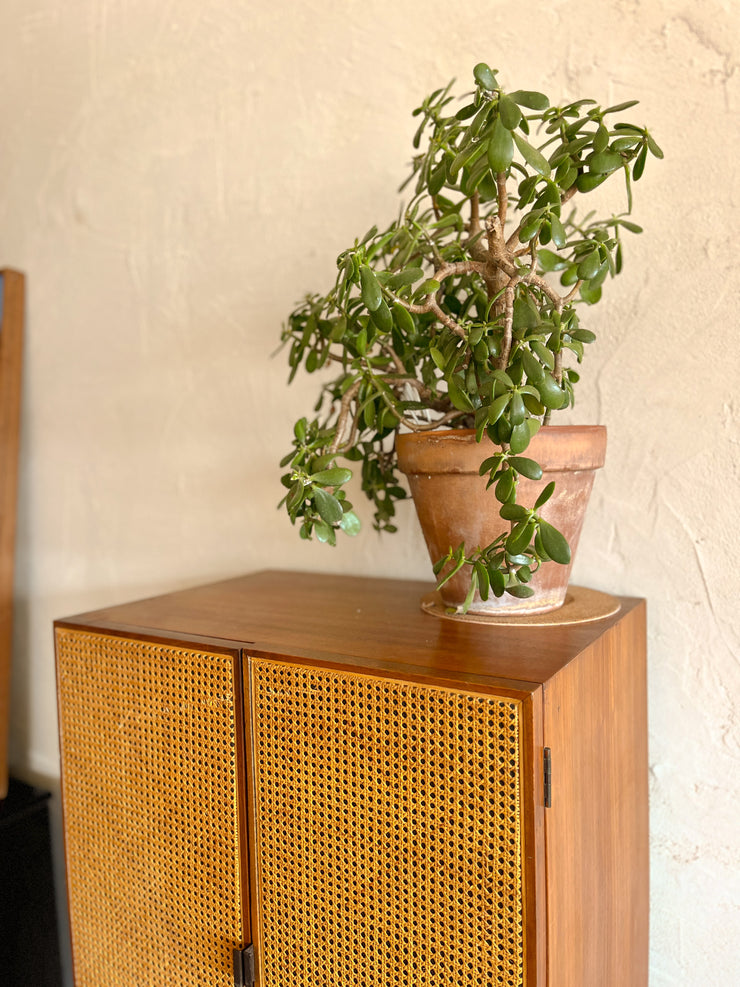 Cane Tall Mid Century Cabinet