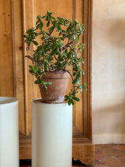 Vintage White Metal Pedestals