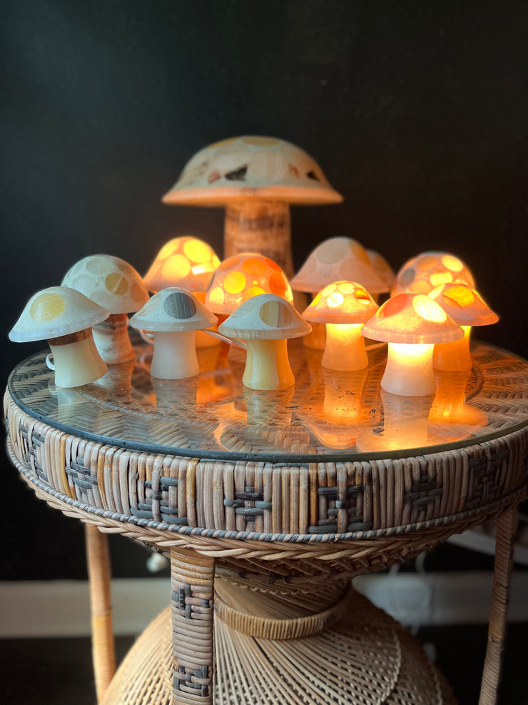 Onyx Mushroom Lamp (FREE SHIPPING) – Stampworthy